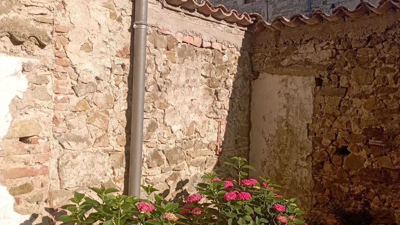 Photo of Outdoor in La Begude-de-Mazenc