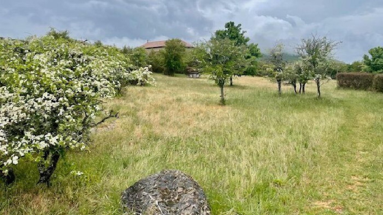 Photo of Outdoor in Le Caylar