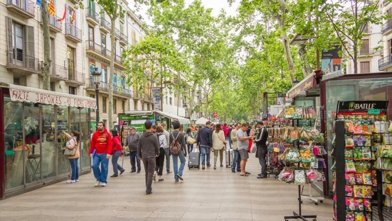 Photo of Outdoor in Llobera