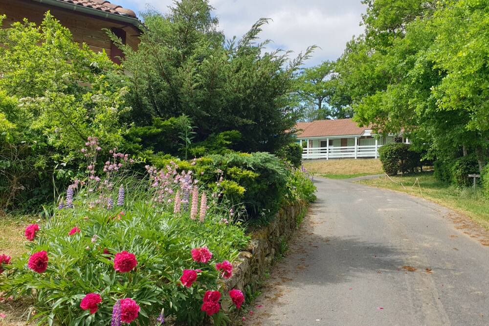 Photo of Outdoor in Blavignac