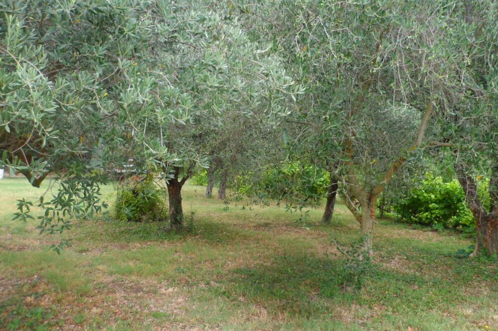 Photo of Outdoor in Uchaux