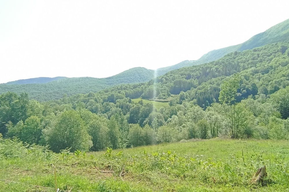 Photo of Outdoor in Fougaron