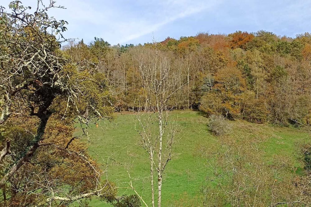 Photo of Outdoor in Fougaron