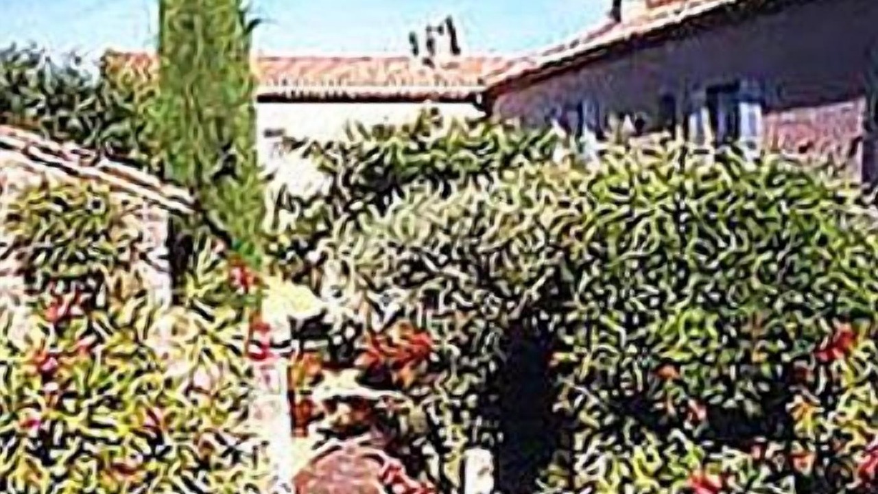 Photo of Outdoor in St.-Remy-de-Provence