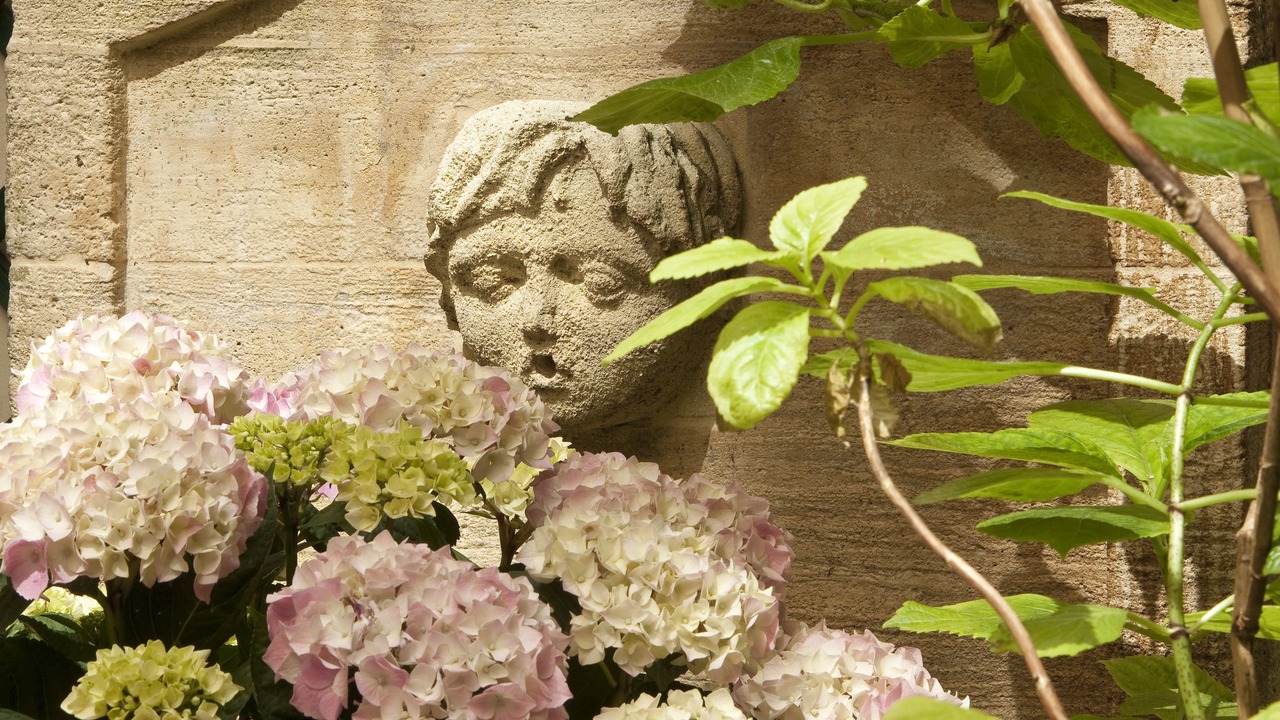 Photo of Patio Balcony in Champs-Elysees