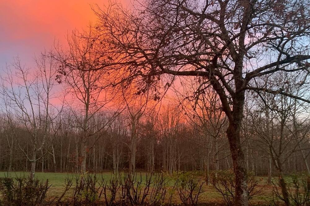 Photo of Outdoor in Marcenais
