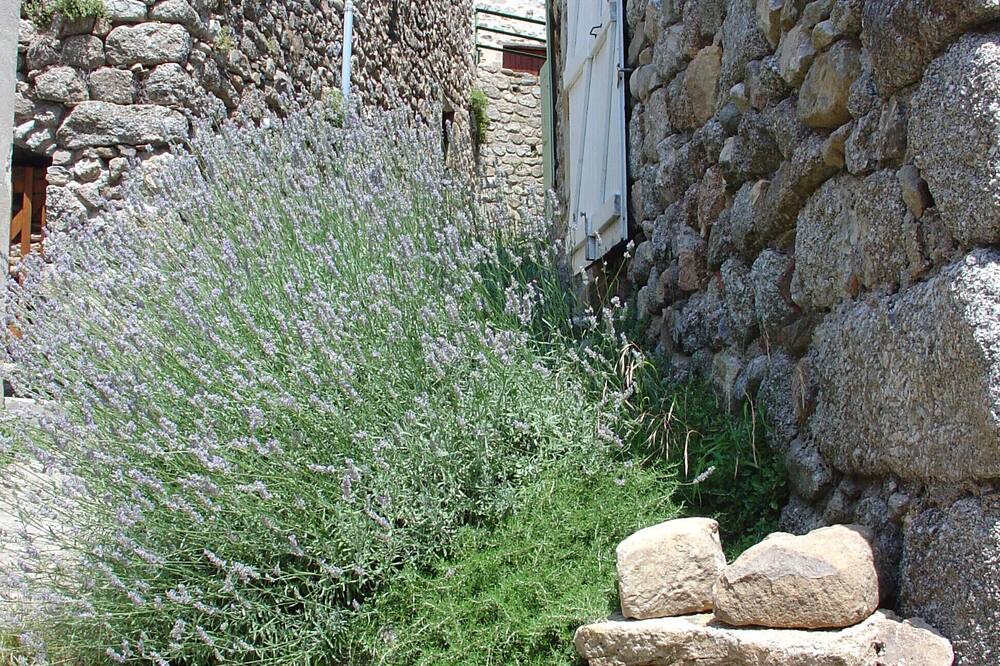 Photo of Outdoor in Duniere-sur-Eyrieux