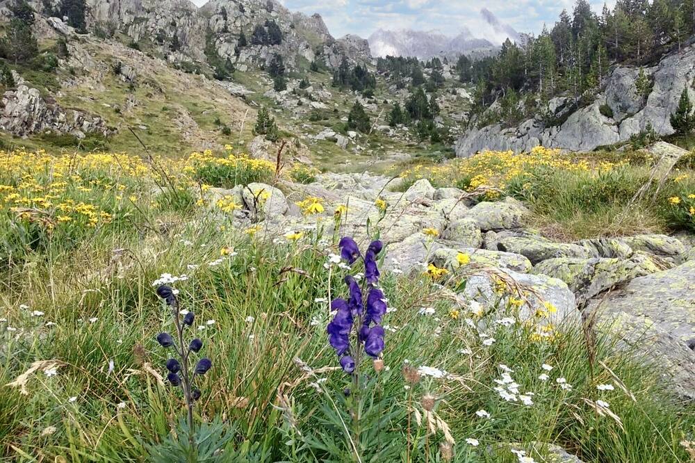 Photo of Outdoor in Llimiana
