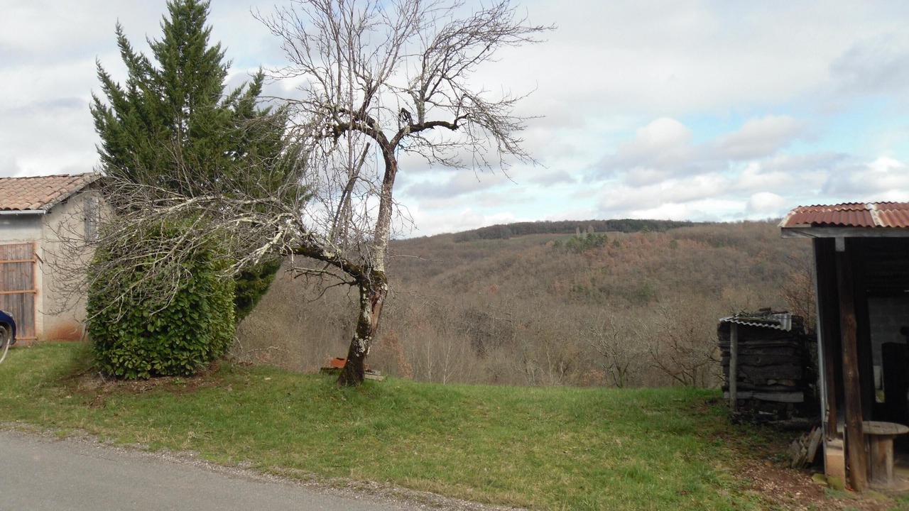 Photo of Others in Puycelci