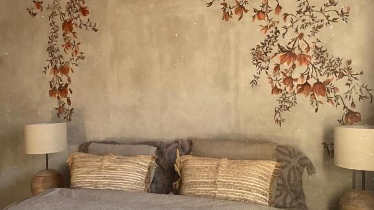 Photo of Outdoor in Limoux