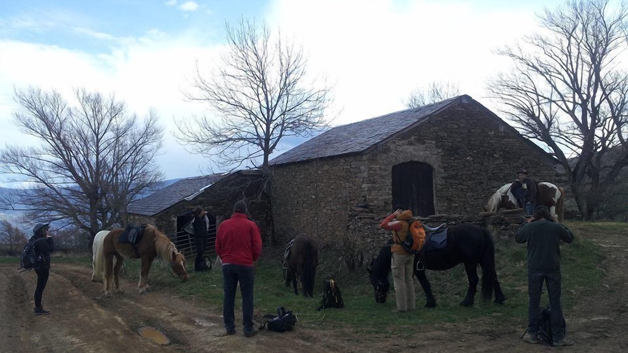 Photo of Others in Pujal