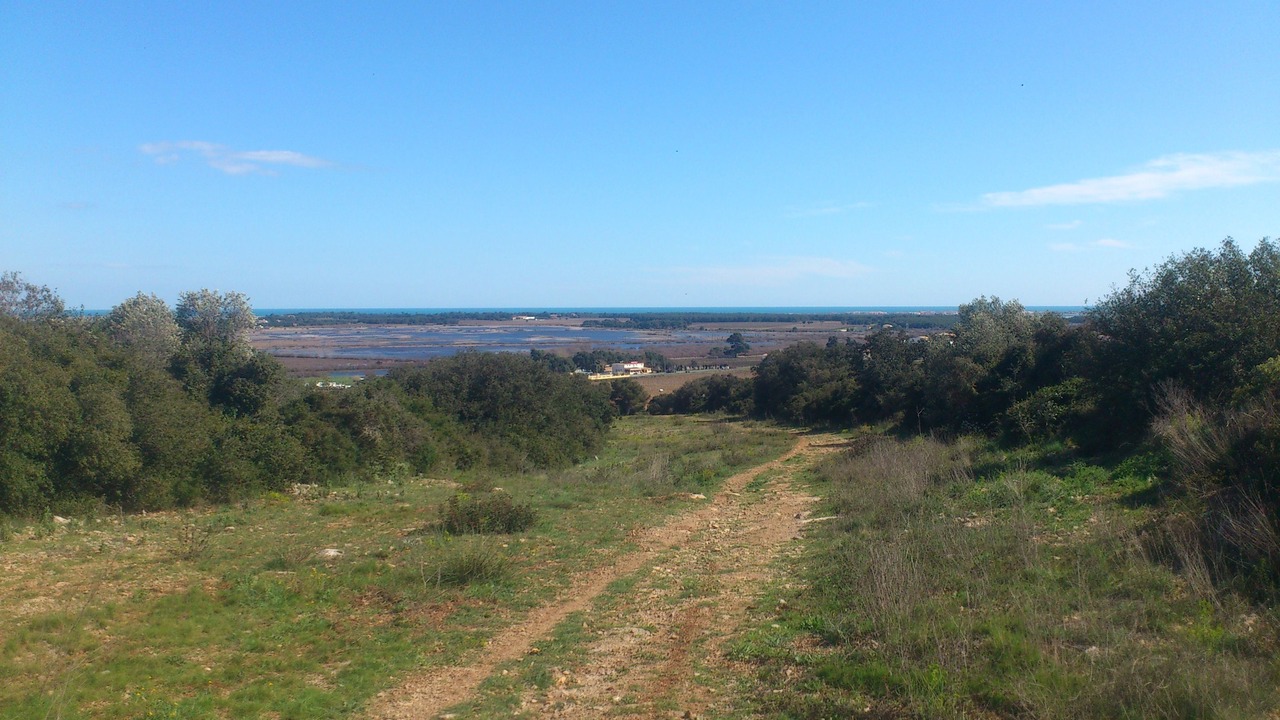 Photo of Others in Vic-la-Gardiole