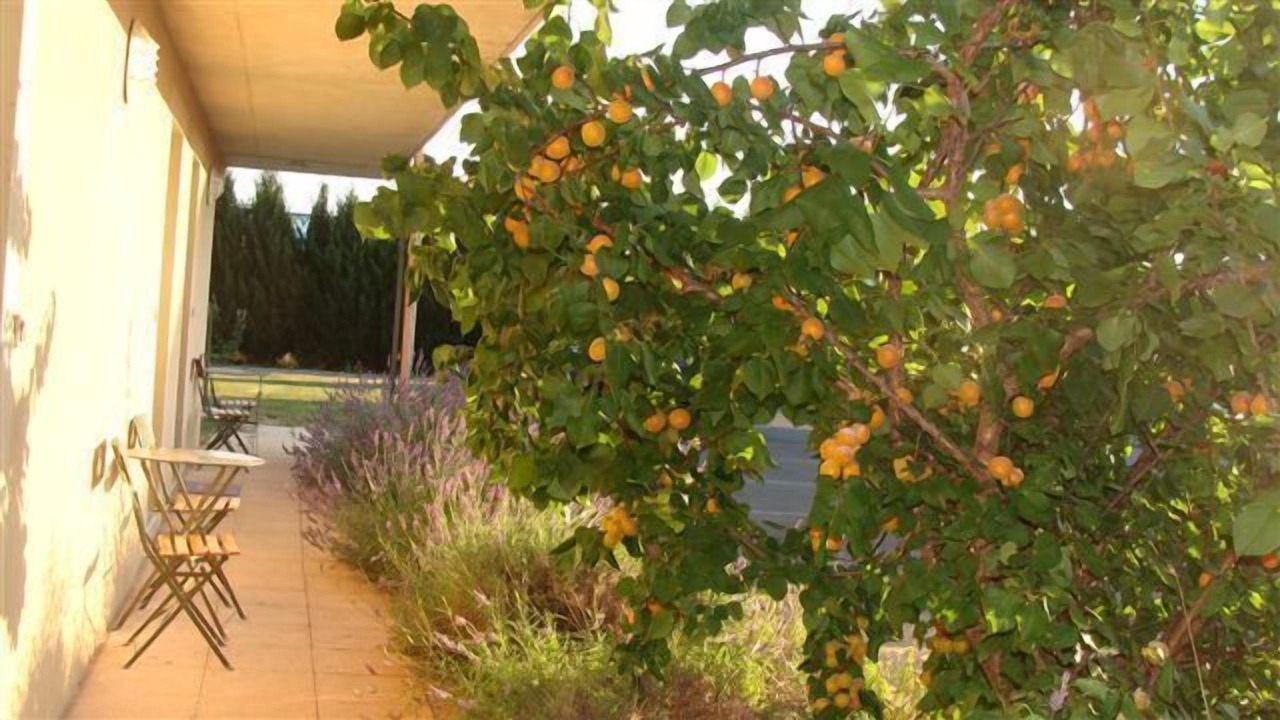 Photo of Outdoor in Langeac