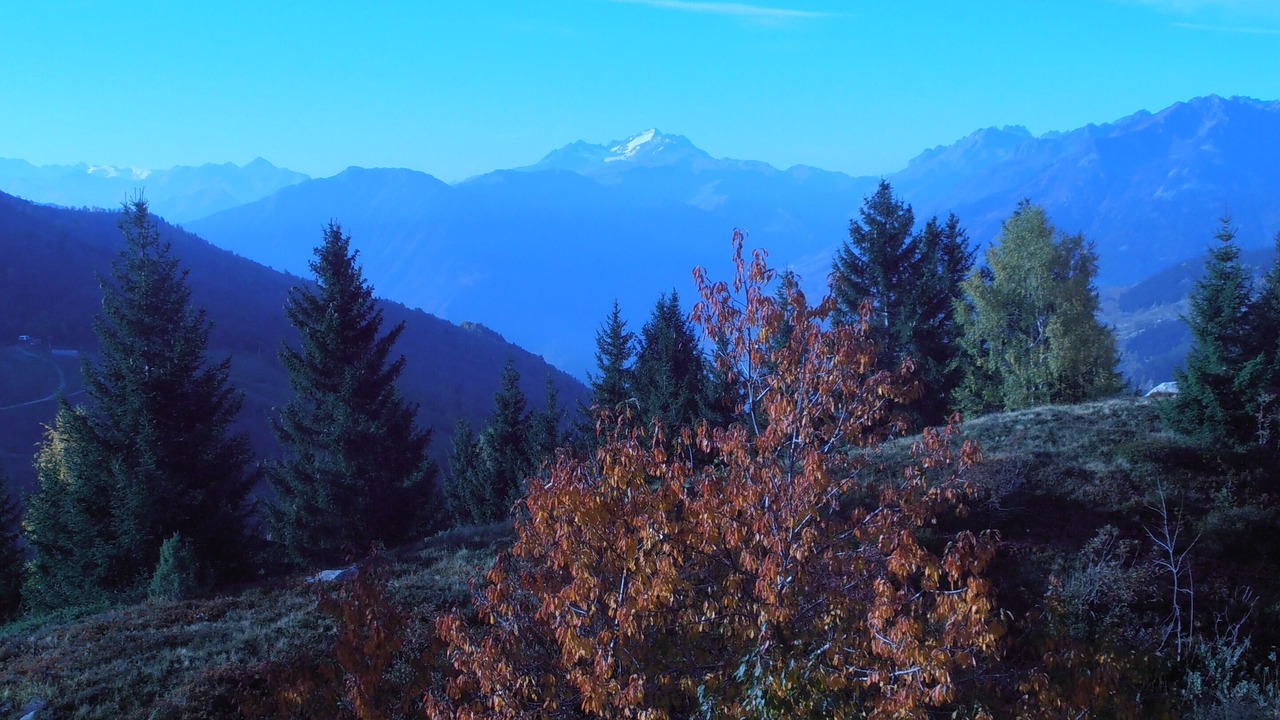 Photo of Others in Montgellafrey