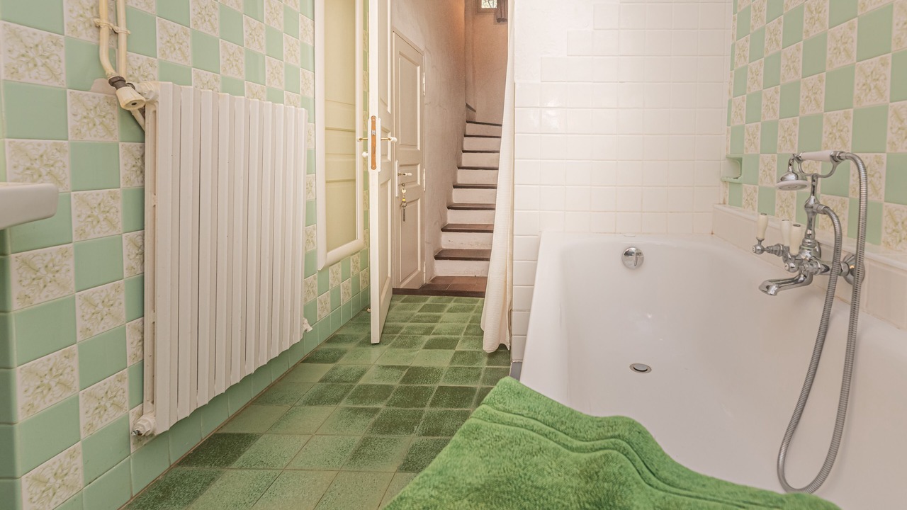 Photo of Bathroom in Lauris