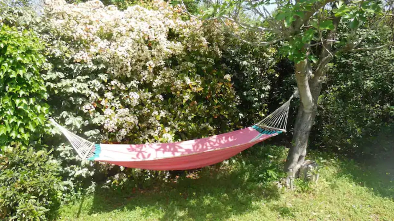 Photo of Outdoor in Montelimar