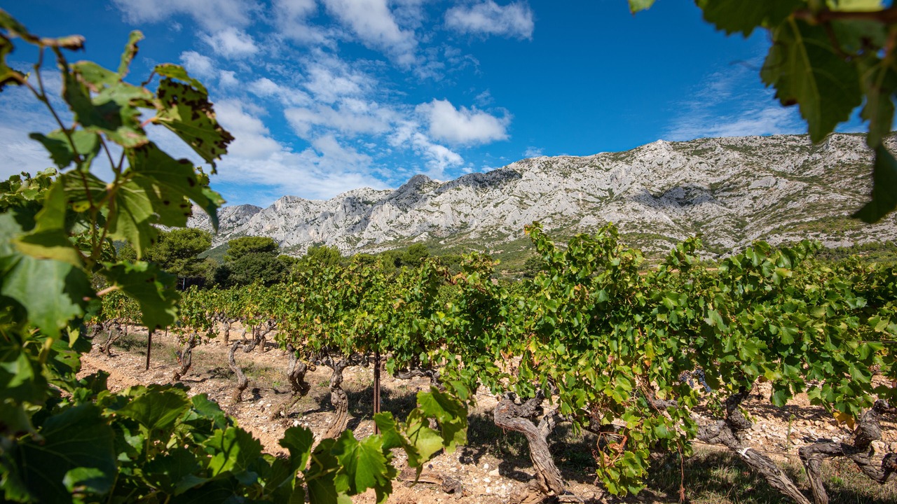 Photo of Outdoor in Le Tholonet