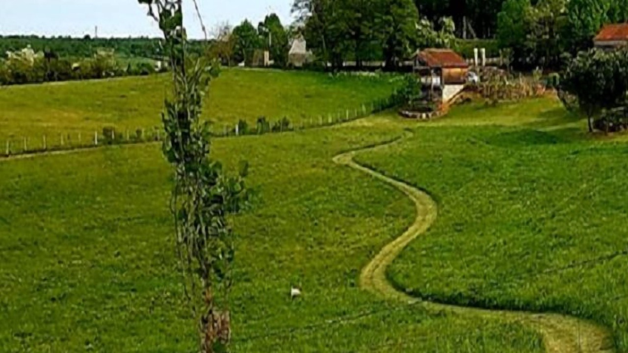 Photo of Others in Martel
