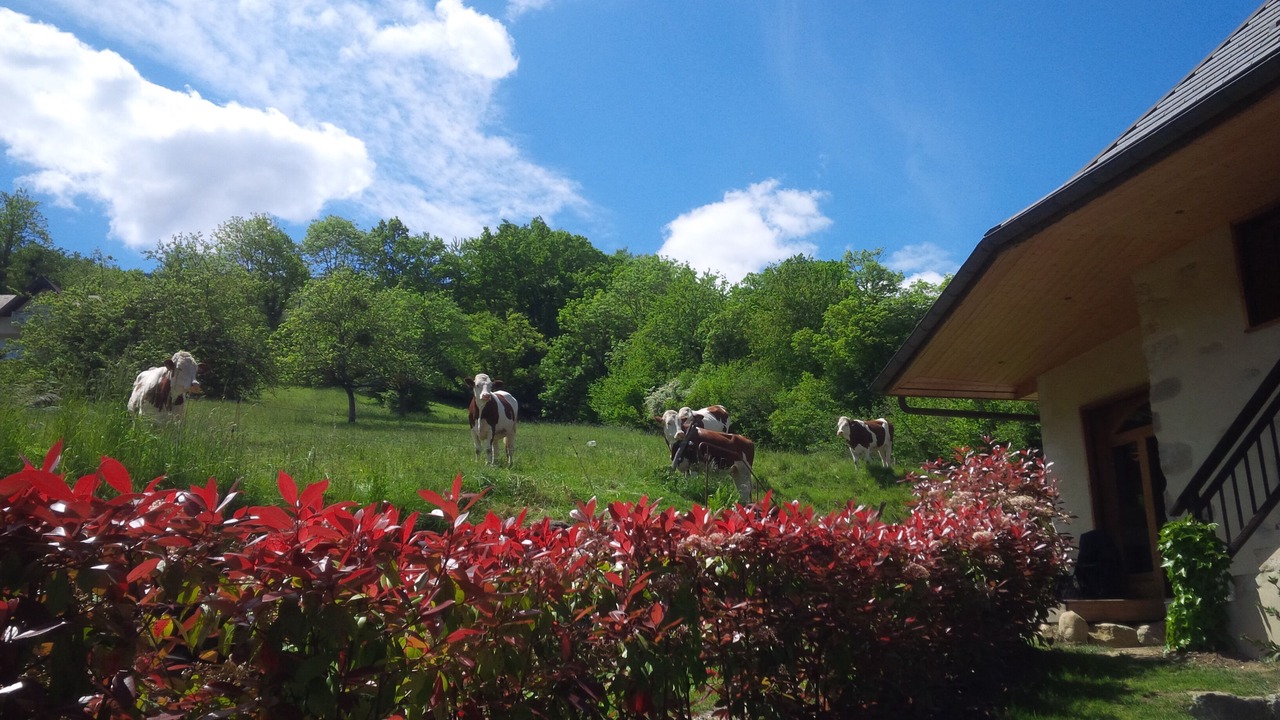 Photo of Outdoor in Saint-Jorioz