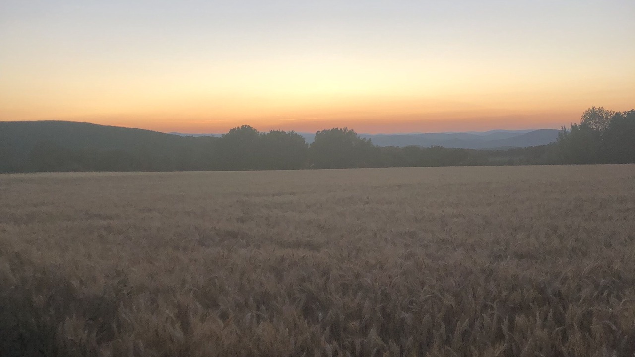 Photo of Outdoor in Portes-en-Valdaine