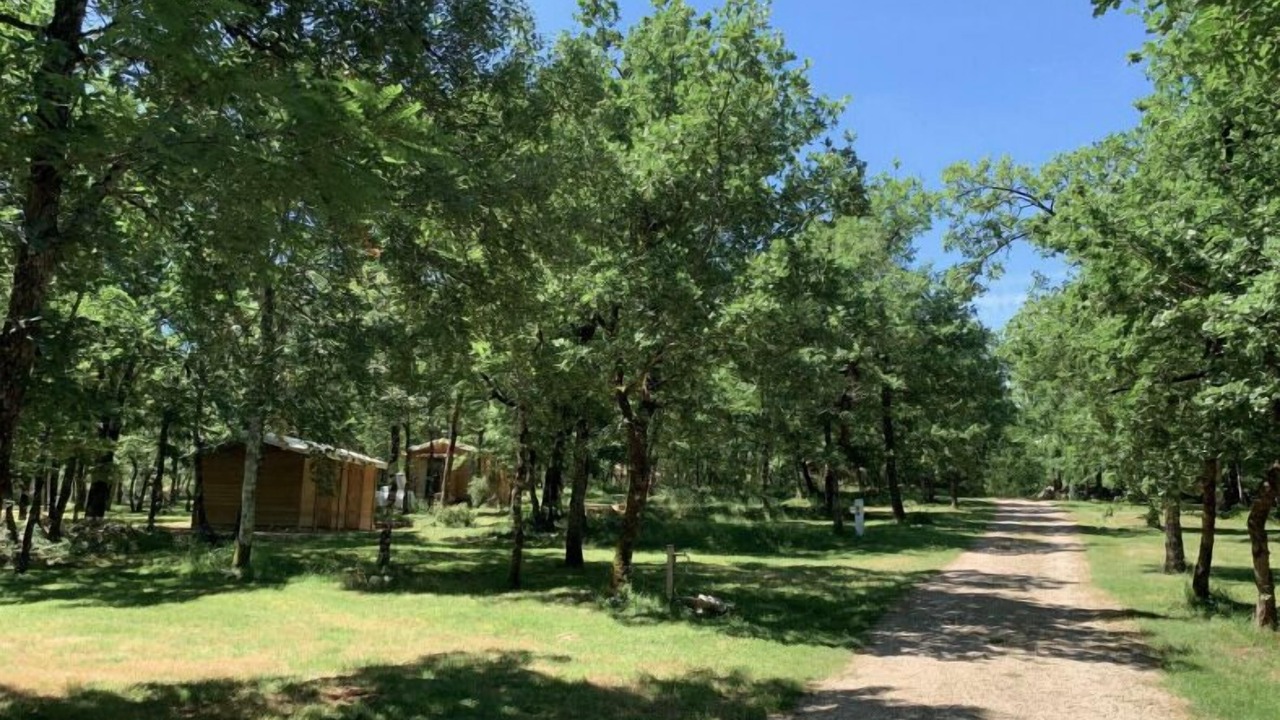 Photo of Outdoor in Septfonds