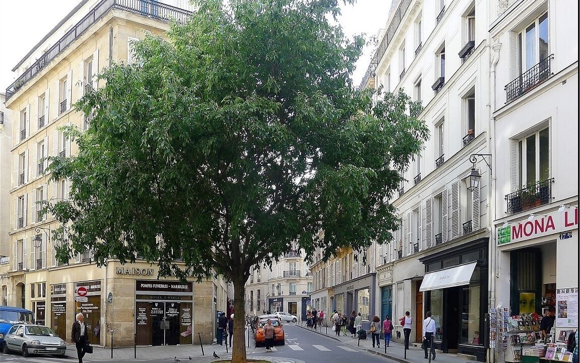 Photo of Others in Marais