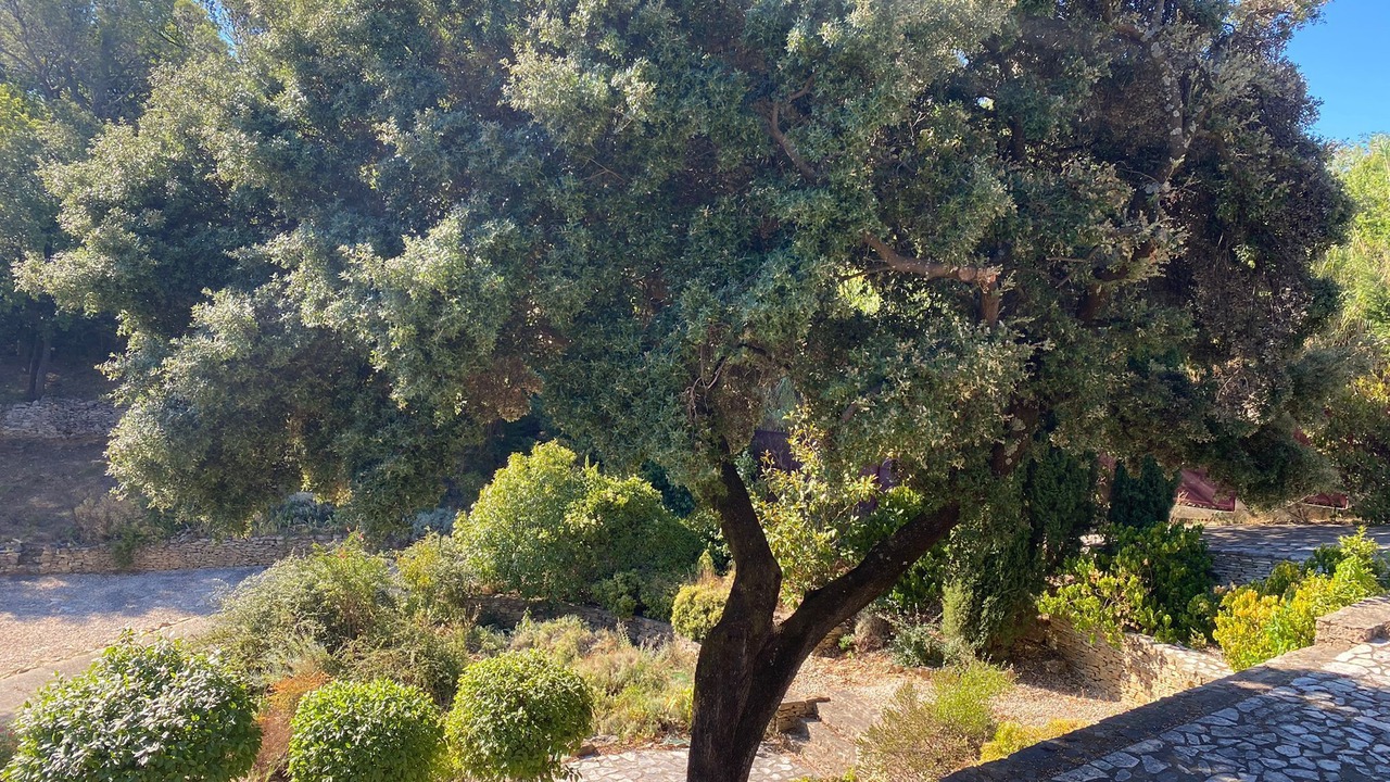 Photo of Outdoor in Bagnols-sur-Ceze