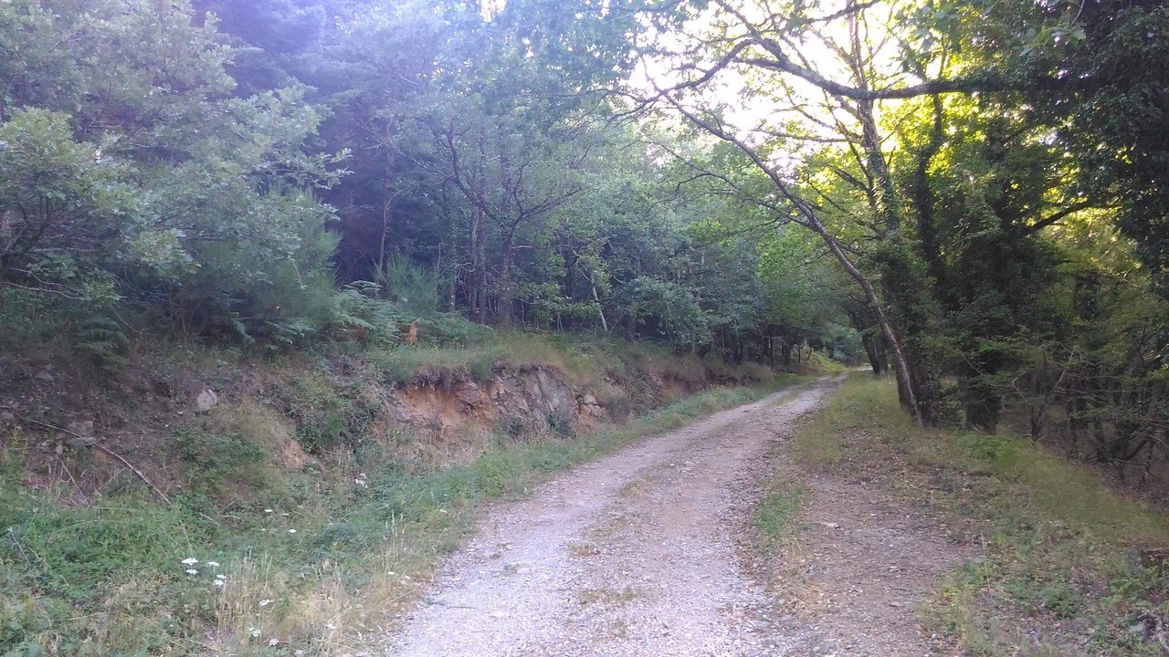 Photo of Others in Fraisse-sur-Agout