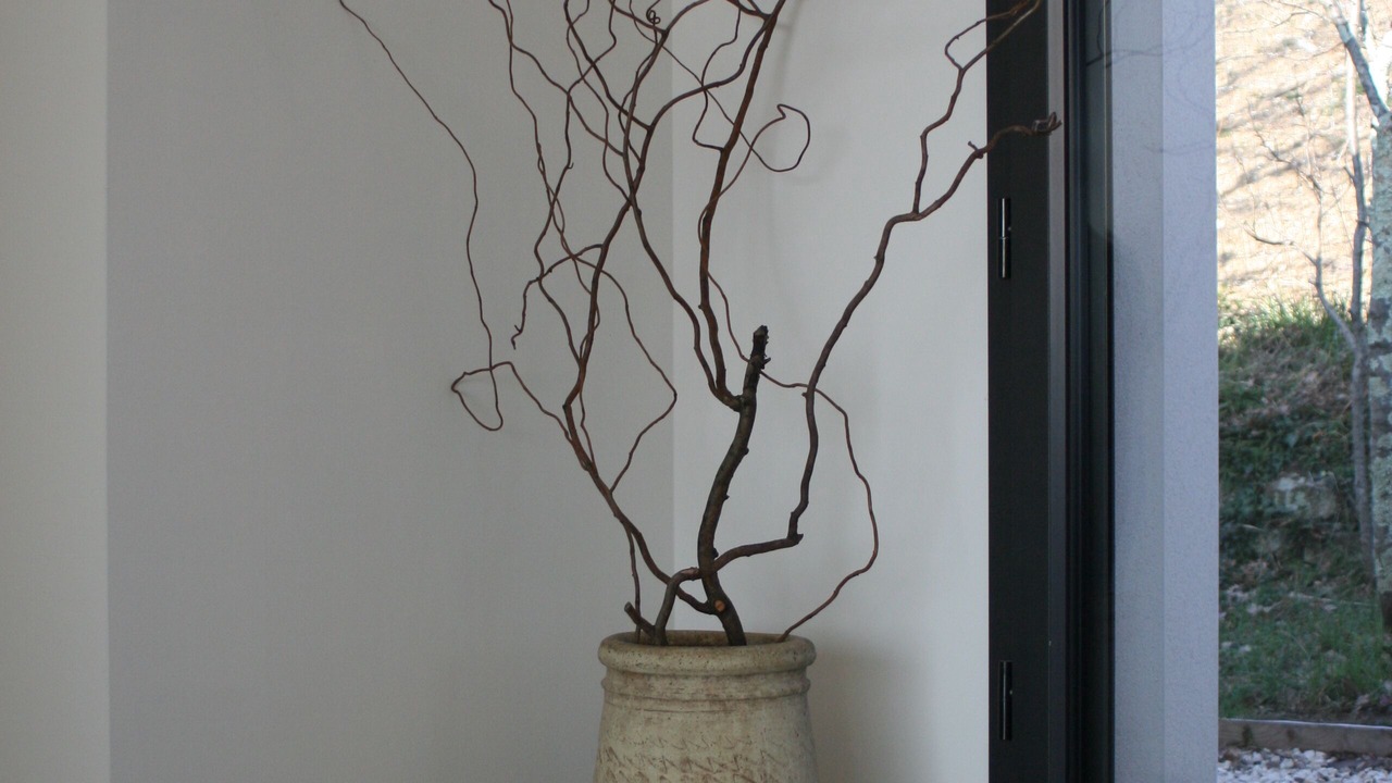Photo of Others in Mercuer