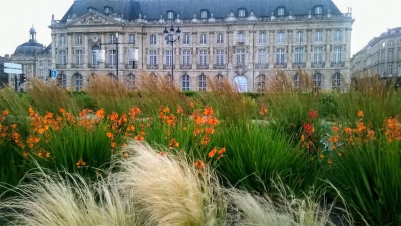 Photo of Outdoor in Arcins