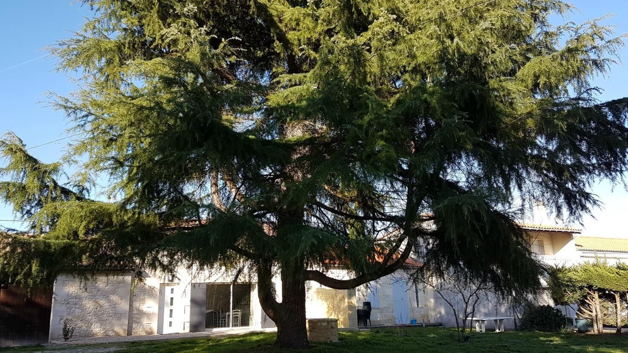 Photo of Outdoor in Arcins