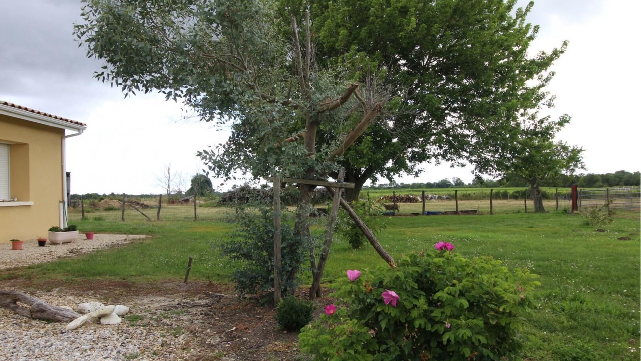 Photo of Outdoor in Queyrac