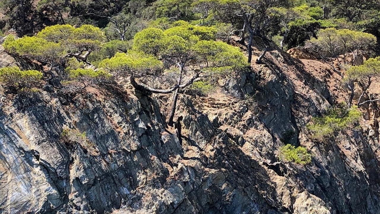 Photo of Outdoor in Giens