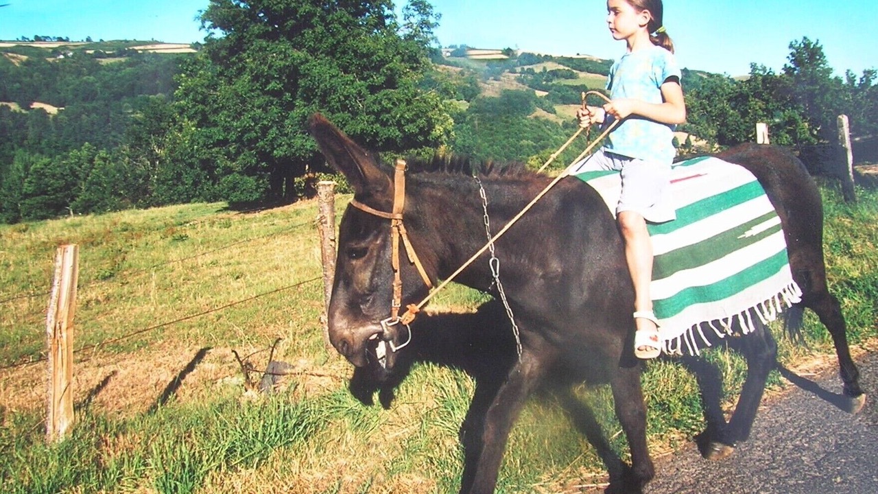 Photo of Others in Jou-sous-Monjou