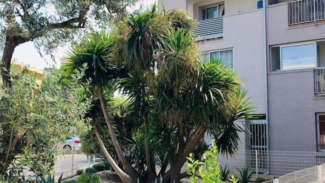 Photo of Outdoor in Le Port