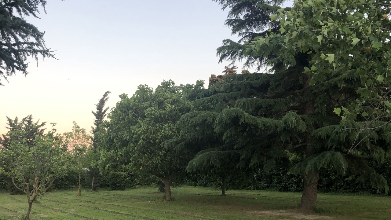 Photo of Outdoor in Elne