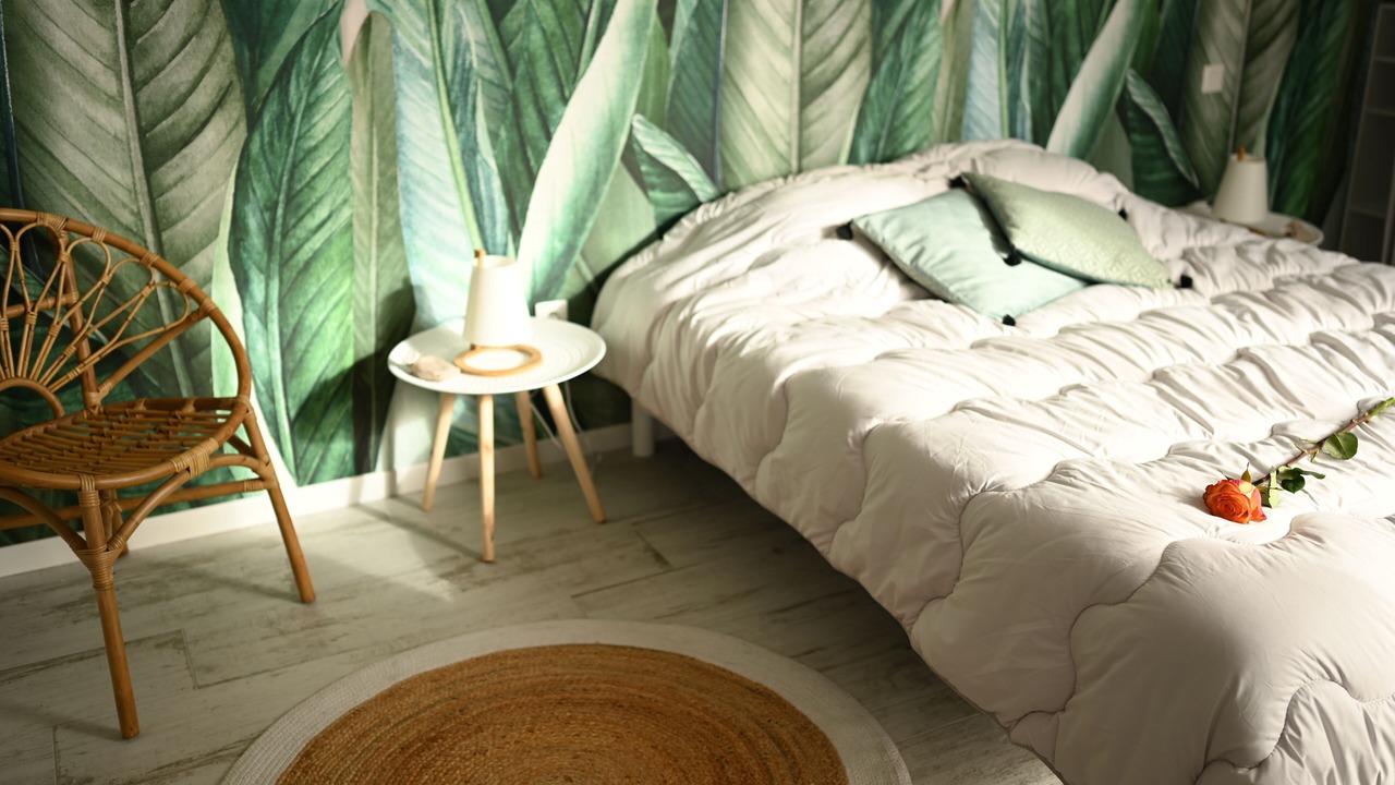 Photo of Bedroom in Le Grau-dʼAgde