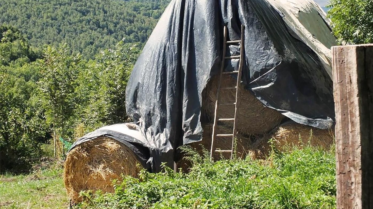 Photo of Outdoor in Pardines