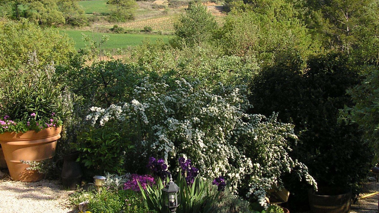 Photo of Outdoor in Vitrolles-en-Luberon