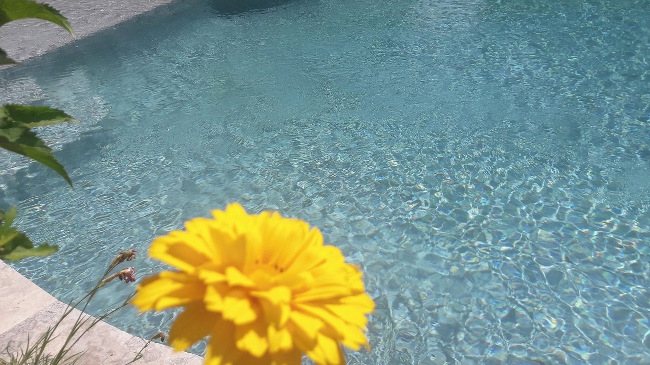 Photo of Outdoor in Montelimar