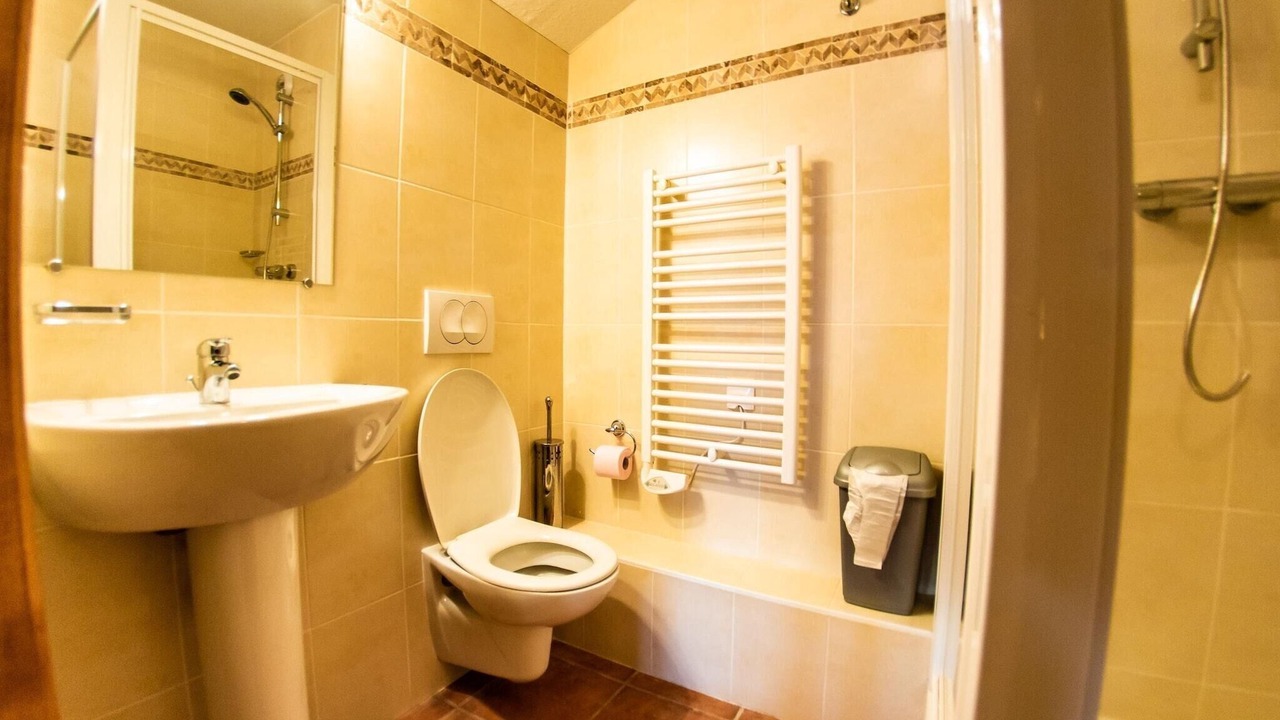 Photo of Bathroom in Saint-Francois-Longchamp