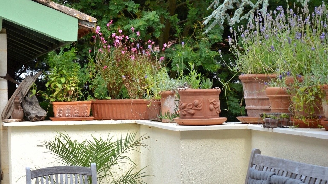 Photo of Outdoor in Gaillan-en-Medoc