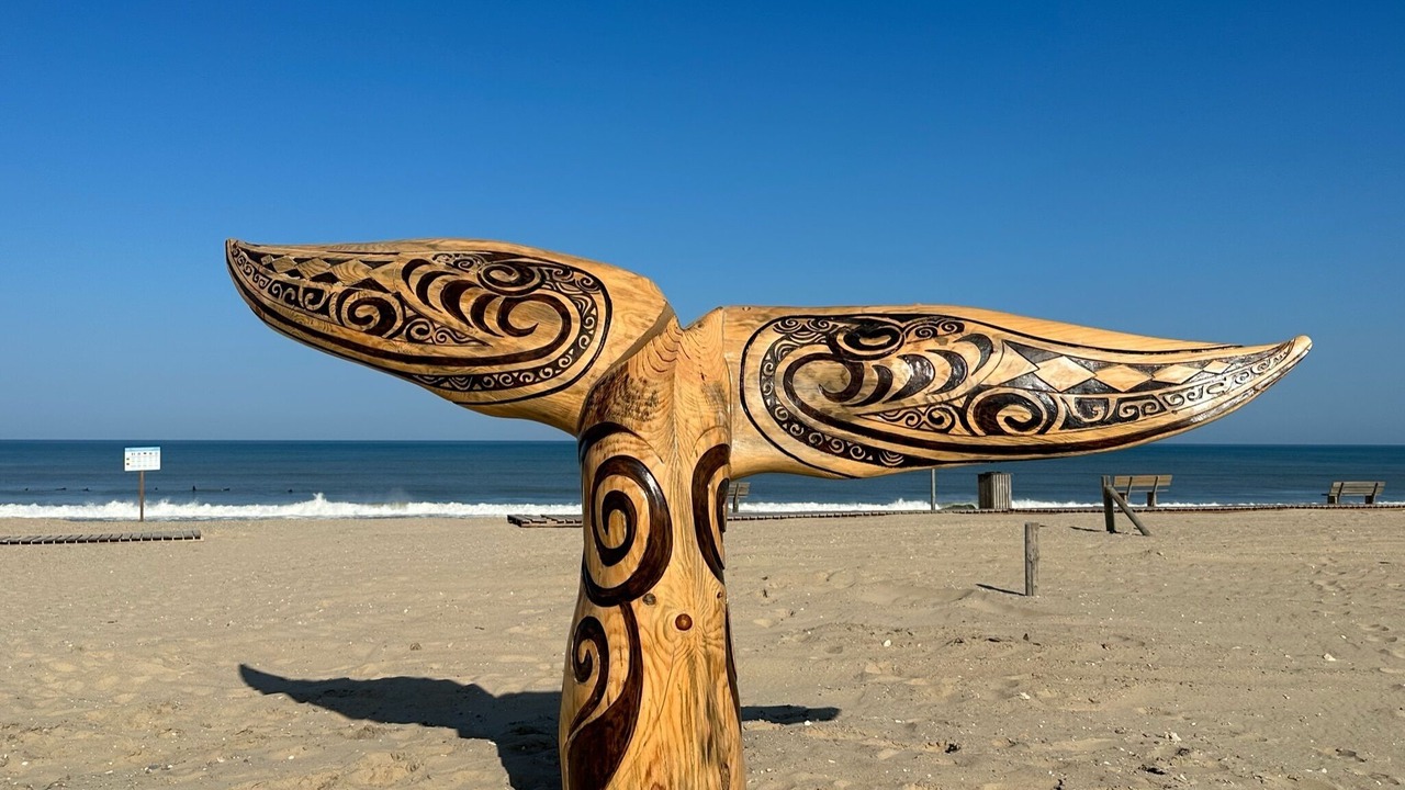 Photo of Others in Gaillan-en-Medoc