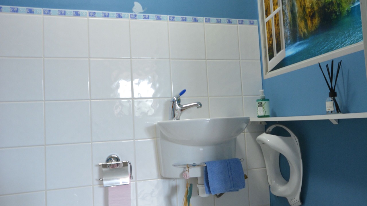Photo of Bathroom in Alby-sur-Cheran