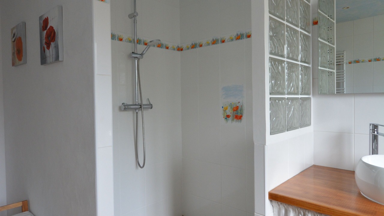 Photo of Bathroom in Alby-sur-Cheran