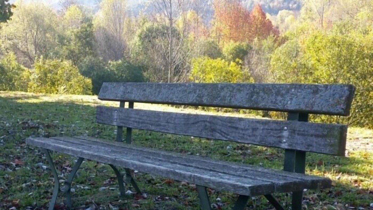Photo of Outdoor in Puigcerda