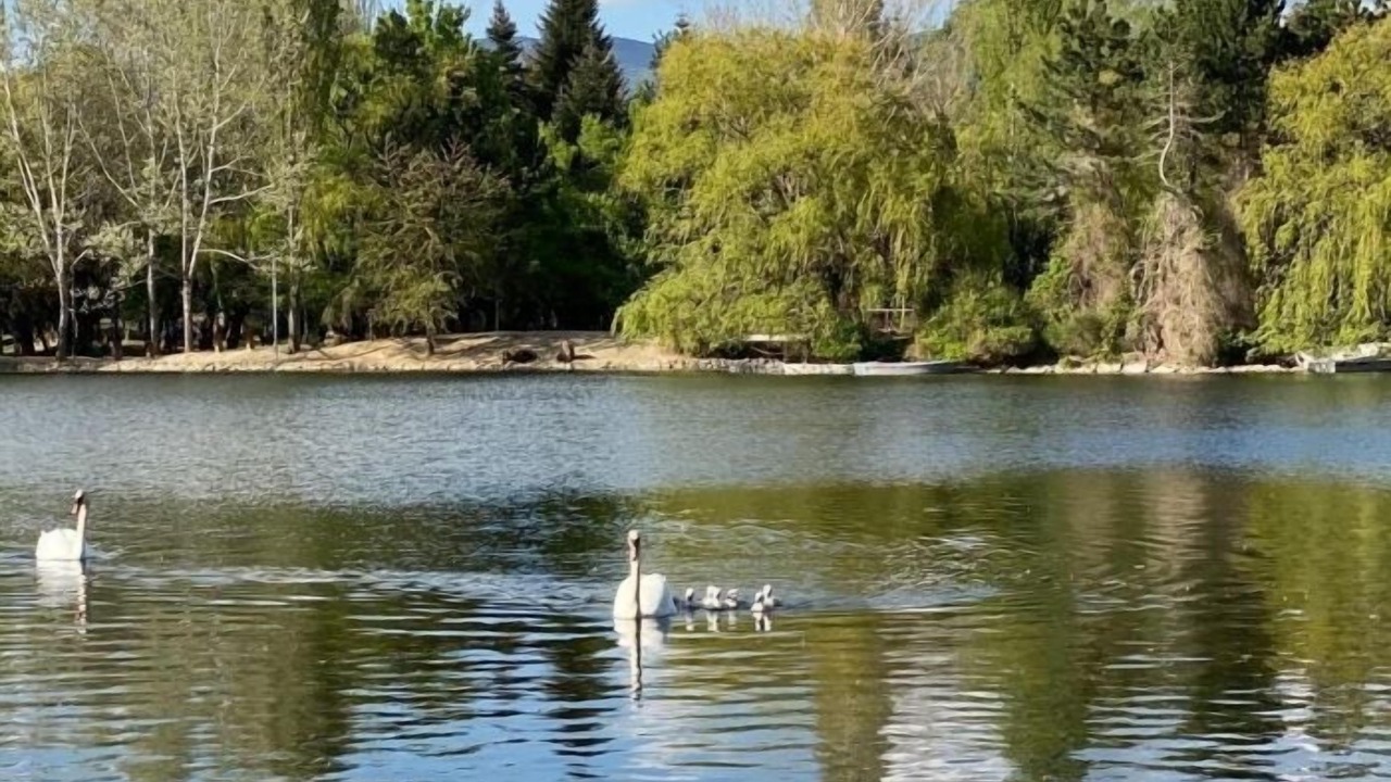 Photo of Others in Puigcerda
