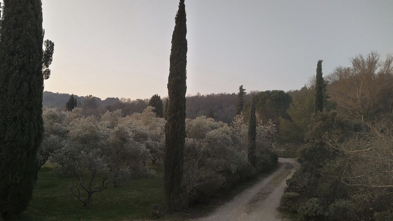 Photo of Outdoor in Carsan