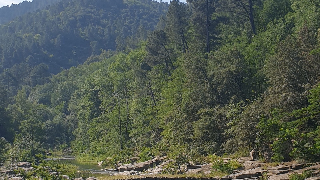 Photo of Others in Robiac-Rochessadoule