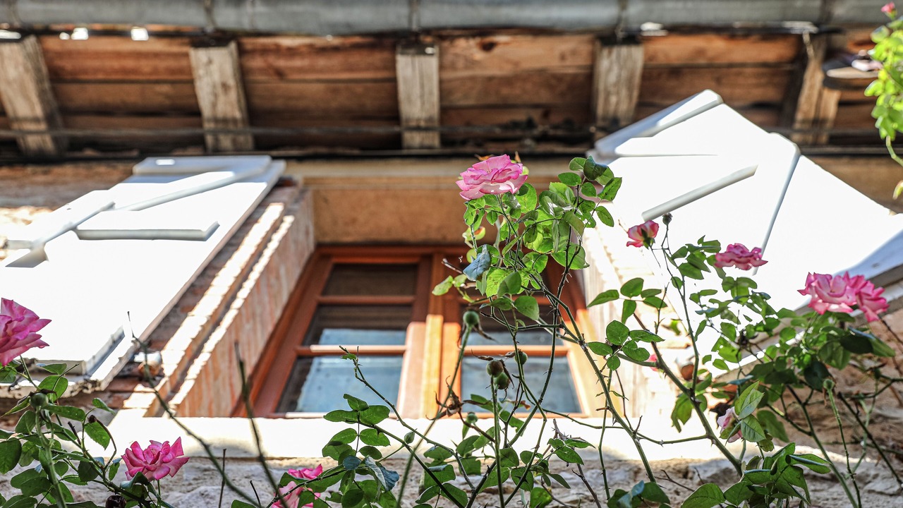 Photo of Outdoor in Puycelci